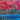 670dca8034be6e479edf2839_img-3491_1793053137441.jpeg