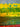 670dca8034be6e479edf2839_img-3493_1793053137441.jpeg