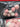 670dca8034be6e479edf2839_img-3506_1777729373973.jpeg