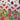 670dca8034be6e479edf2839_img-3510_1793127834287.jpeg