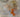 670dca8034be6e479edf2839_img-3554-medium_1777140980253.jpeg