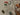 670dca8034be6e479edf2839_img-3561-medium_1777141371982.jpeg