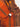670dca8034be6e479edf2839_img-3745_1780842044650.jpeg