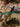 670dca8034be6e479edf2839_img-3982_1788518528655.jpeg