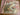 670dca8034be6e479edf2839_img-4015_1788480733497.jpeg