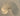 670dca8034be6e479edf2839_img-4170-medium_1783198075683.jpeg