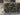 670dca8034be6e479edf2839_img-4196-medium_1783192478881.jpeg