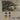 670dca8034be6e479edf2839_img-4217-medium_1783195553491.jpeg