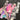 670dca8034be6e479edf2839_img-4266_1783812340171.jpeg