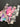 670dca8034be6e479edf2839_img-4266_1783812340171.jpeg