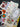 670dca8034be6e479edf2839_img-4270_1783813363254.jpeg