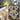 670dca8034be6e479edf2839_img-4287_1783813511214.jpeg