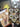 670dca8034be6e479edf2839_img-4287_1783813511214.jpeg