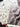 670dca8034be6e479edf2839_img-4292_1783813511215.jpeg