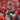 670dca8034be6e479edf2839_img-4372_1760541486960.jpeg
