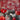 670dca8034be6e479edf2839_img-4372_1760541486960.jpeg