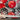 670dca8034be6e479edf2839_img-4374_1760541486961.jpeg