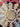 670dca8034be6e479edf2839_img-4446_1778775127818.jpeg