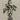 670dca8034be6e479edf2839_img-4452_1788465288563.jpeg