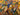 670dca8034be6e479edf2839_img-4550_1757254299152.jpeg