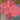 670dca8034be6e479edf2839_img-4579_1778970403761.jpeg
