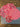 670dca8034be6e479edf2839_img-4579_1778970403761.jpeg
