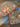 670dca8034be6e479edf2839_img-4615_1778971587806.jpeg