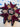 670dca8034be6e479edf2839_img-4616_1791064869777.jpg