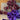 670dca8034be6e479edf2839_img-4670_1779032477252.jpeg