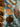 670dca8034be6e479edf2839_img-4801_1774570583989.jpeg