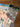 670dca8034be6e479edf2839_img-4815_1779201579100.jpeg