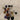 670dca8034be6e479edf2839_img-4885_1753793959817.jpeg