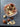 670dca8034be6e479edf2839_img-4904_1779471047769.jpeg