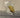 670dca8034be6e479edf2839_img-4967_1758139898731.jpeg