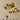 670dca8034be6e479edf2839_img-4968_1758139898730.jpeg