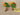 670dca8034be6e479edf2839_img-4984_1791927881949.jpeg