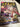 670dca8034be6e479edf2839_img-4999_1775068793292.jpeg