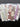 670dca8034be6e479edf2839_img-5170_1779572505275.jpeg