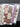 670dca8034be6e479edf2839_img-5172_1779572505275.jpeg