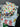 670dca8034be6e479edf2839_img-5283_1779576000462.jpeg