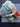 670dca8034be6e479edf2839_img-5350_1779647058320.jpeg