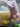 670dca8034be6e479edf2839_img-5353_1779647058320.jpeg