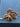 670dca8034be6e479edf2839_img-5390_1779647984245.jpeg