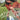 670dca8034be6e479edf2839_img-5487_1777588029961.jpeg