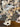 670dca8034be6e479edf2839_img-5527_1780362991877.jpeg