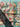 670dca8034be6e479edf2839_img-5627_1780702645905.jpeg