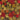 670dca8034be6e479edf2839_img-5638_1780702444232.jpeg