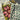 670dca8034be6e479edf2839_img-5663_1780704227885.jpeg