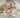 670dca8034be6e479edf2839_img-5685_1750201832374.jpeg