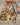 670dca8034be6e479edf2839_img-5686_1750201832374.jpeg